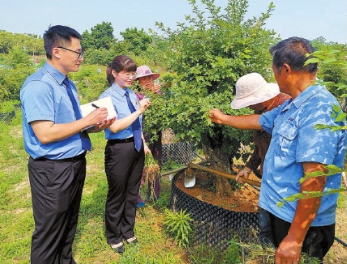 纯植物染发剂排行榜_富豪大农场红包版新版2023(2)